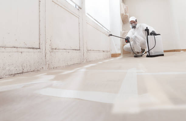 24/7 Emergency Mold Removal experts in Deerfield, MI