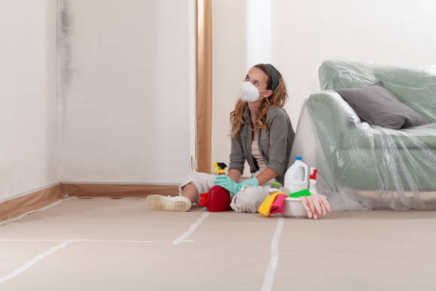 Reliable Mold Removal contractor in Deerfield, MI by Mold Remediation HQ